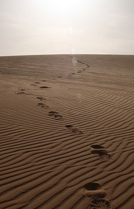 Atravesando el desierto